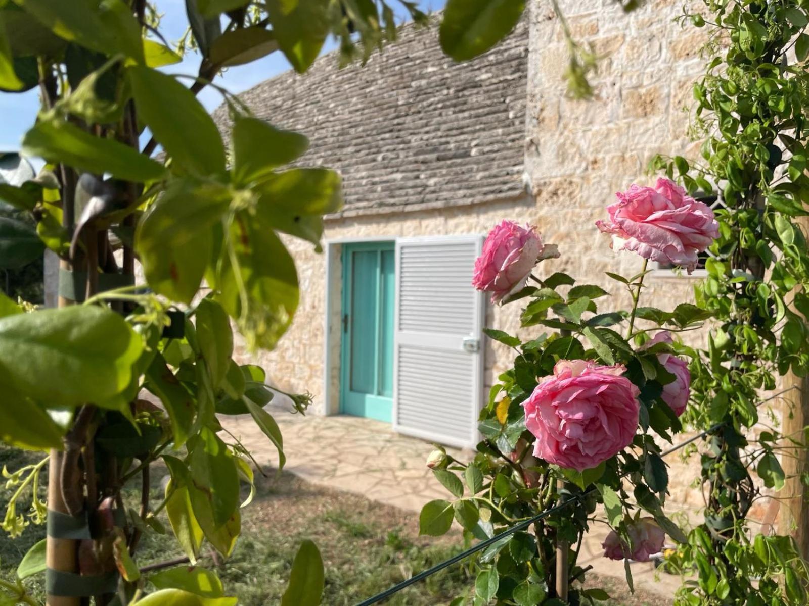Giardino Dei Trulli Cummerse Faccia di Trippa di Monte Екстериор снимка